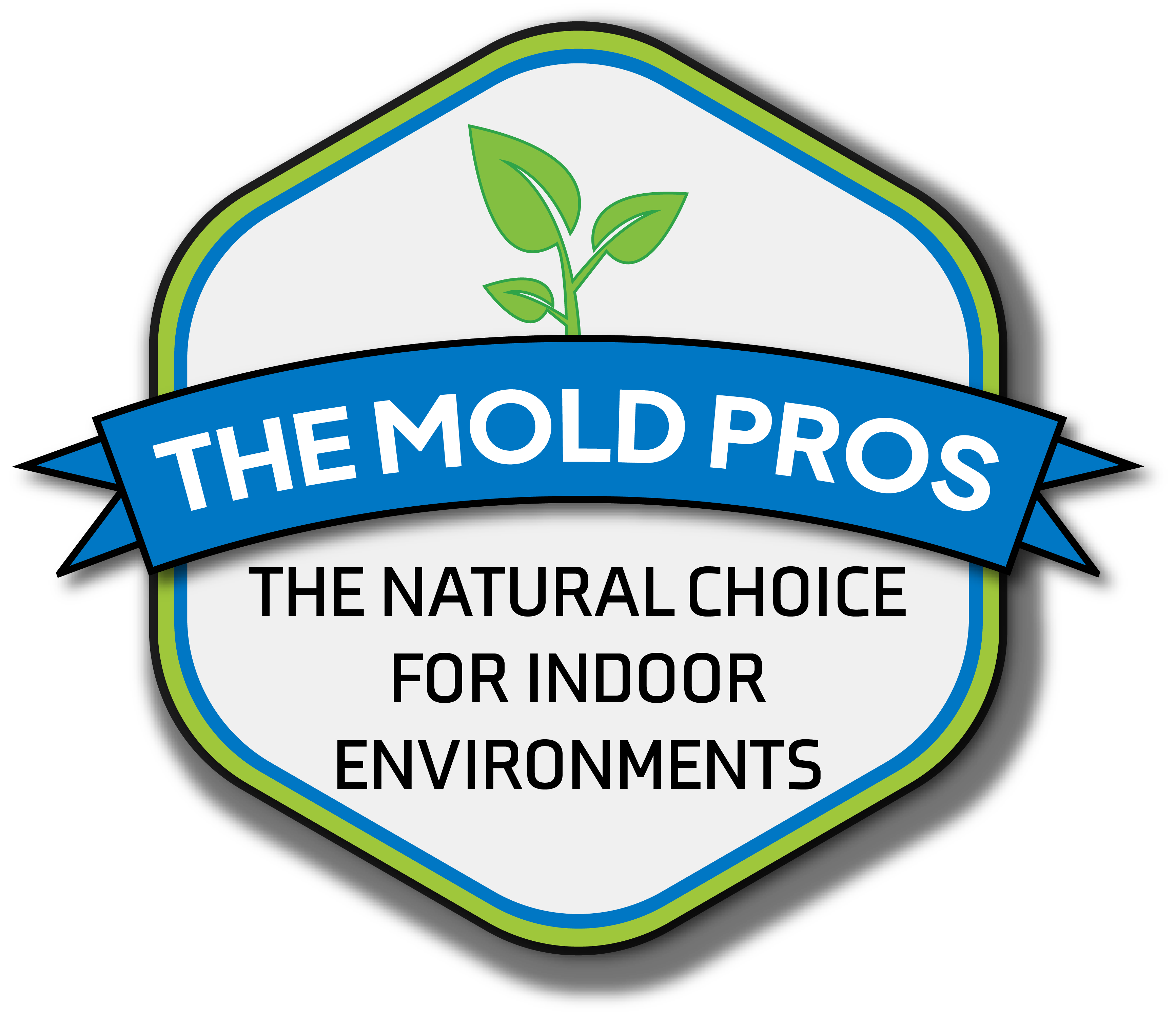 The Mold Pros Mold Remediation & Mold Removal Company